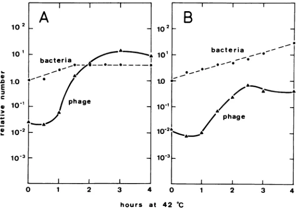 TABLE 2. Induction of prophage X in dna(X) mutants by high temperaturea