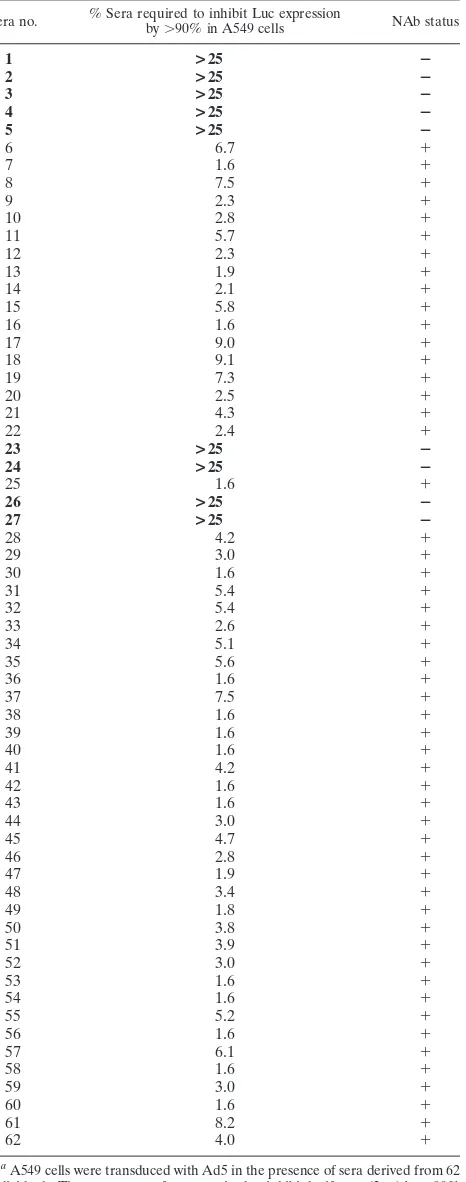 TABLE 1. Effect of neutralizing sera on CAR-mediatedAd5 transductiona