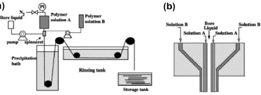 Fig.2: (a) Schematic representation of the hollow fiber spinning set up, (b) cross-section of 