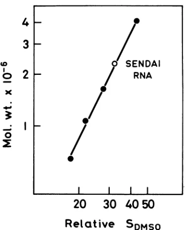 FIG. 2.2.02.9RNA.sucroseandGradient"4C-cellular Comparison of 'H-45s rRNA precursor, RNA, and 32P-Sendai RNA on ordinary (A) and DMSO gradients (B) and (C)