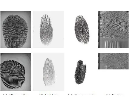 Fig. 1. Example of live (above) and fake (below) fingerprints acquired with 4 sensors