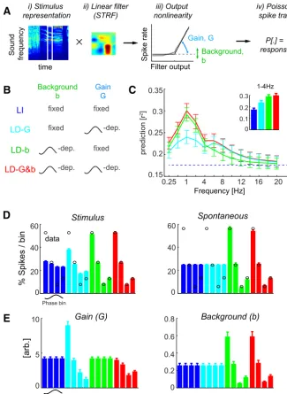 Figure 2.Response prediction using phase-dependent LNP models. A, Schematic of the LNP model transforming the spectro-temporal stimulus representation using a linear filter into a predicted response