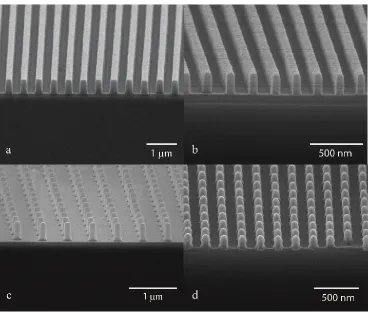 Figure 2-7: SEM’s ofinterferometer. (a) 1D nanostructure with 500 nm period. (b) 1D nanostructure with 200 nm period