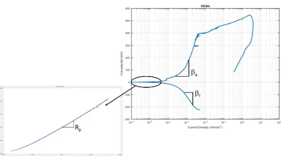 Figure 5-5: Cyclic polarization curve (right) and polarization resistance curve (left) for stainless steel type 304