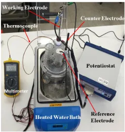 Figure 5-2: Electrochemical polarization setup with labeled components 