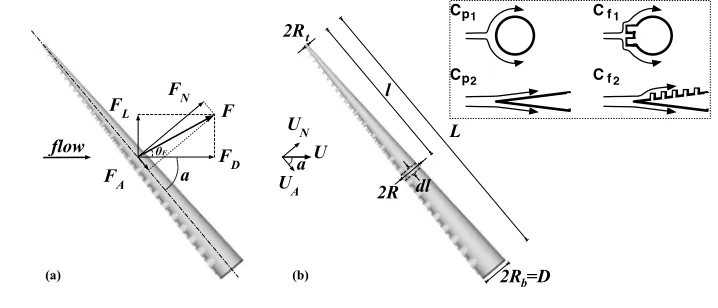 Figure 3.Hydrodynamic loads acting on: (a) an octopus-like arm with protrusions and (b) an arm in-Cascribable to pressure drag and skin friction drag, in the direction normal to the axis of the arm (top row,with coeﬃcients Cparallel and perpendicular to ei