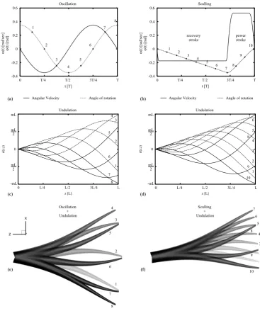 Figure 2: (a) Sinusoidal oscillation and (b) sculling motion proﬁles, displaying temporal variation of angular velocity