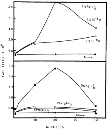 TABLE 1. In vitro T4D formation in bacterialextracts