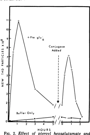 FIG. 2.subsequent Effect treatment