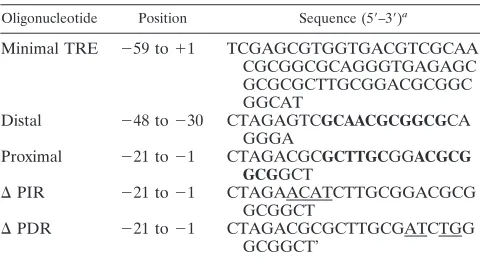 TABLE 1. Sense sequence of oligonucleotides used for EMSA analysis