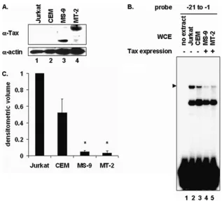 FIG. 3. Stable Tax expression in T cells interferes with PIR complex formation on the proximal PCNA promoter TRE