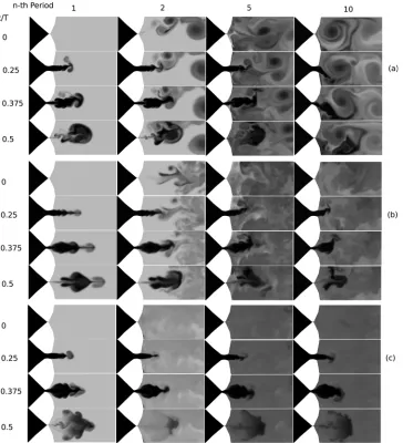Fig. 2. Tracer ﬁeld for (a) 2D computation, (b) 3D computation with slit-like oriﬁce, and (c) 3D computationwith lens-like oriﬁce.