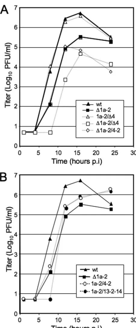FIG. 5. Growth and protein processing of 1a-S2, 1a-2LQ, and 1a-S2LQviruses. (A) DBT cells were infected with indicated viruses at an MOI of 0.1
