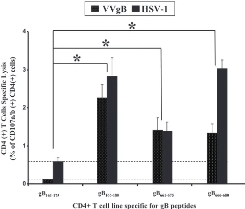 FIG. 7. CD4�T-cell peptide epitopes recognized infected target cells expressing na-tive gB