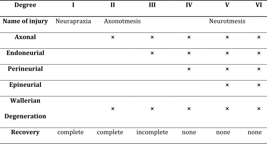 Table 2.1 Classification of the six degrees of nerve injuries 