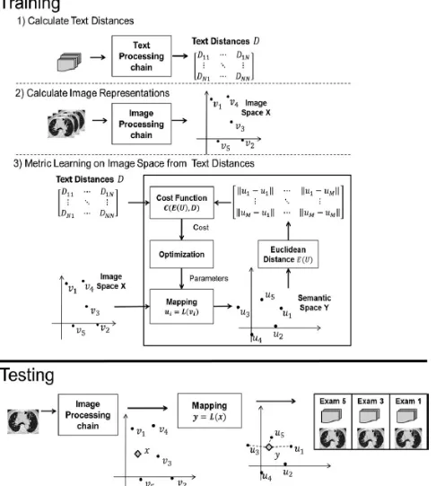 Fig. 2 Schematic of a supervised metric learning process from radiology reports for a CBIR system