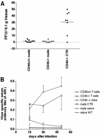 FIG. 1. Expression of CD40 on T cells is not required for effectivelong-term control of MHV-68 or for antiviral antibody production.