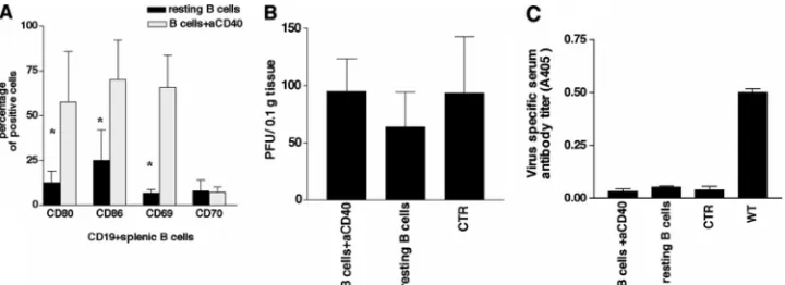 FIG. 4. Adoptive transfer of anti-CD40-treated DC restores the long-term control of MHV-68 in CII�10molecule, was signiﬁcantly higher in the anti-CD40-treated group than in the control group (mice that did not receive any DC were also infected as controls