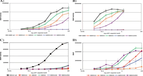 FIG. 3. Comparative infectivities of parental and SHIV-derived variable-loop chimeric viruses