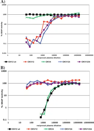 FIG. 4. Representative neutralization curves of SHIV DH12 and SHIV DH12-derived loop chimeras with plasma from SHIV-infectedmonkeys