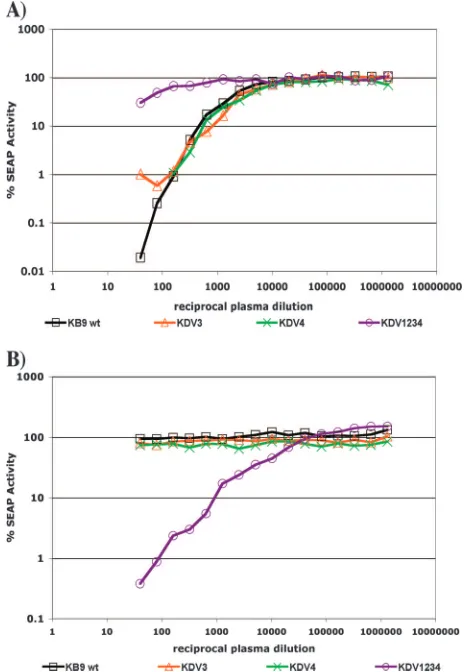 FIG. 5. Representative neutralization curves of SHIV KB9 andSHIV KB9-derived loop chimeras with plasma from SHIV-infected