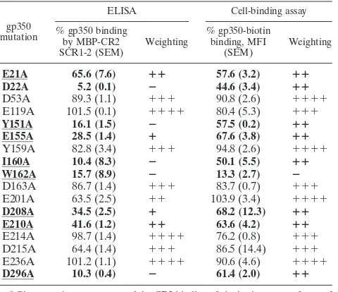 FIG. 3. Effect of gp350 mutagenesis on wild-type CR2 binding(ELISA). (A) Alanine substitutions mapped onto a ribbon represen-