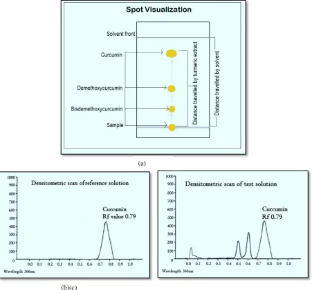 Fig 2: Thin layer chromatography- (a) Spot visualization; (b) Densitometric scan of reference solution at 366 nm, (c) Densitometric scan of test solution at 366 nm 