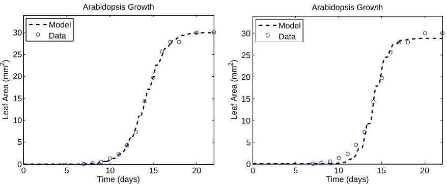Figure 3.5:Left: Carbon uptake as predicted by the comprehensive model (dashed) and bythe constant rate of 28 µmol m−2s−1 (solid) as predicted by [49]
