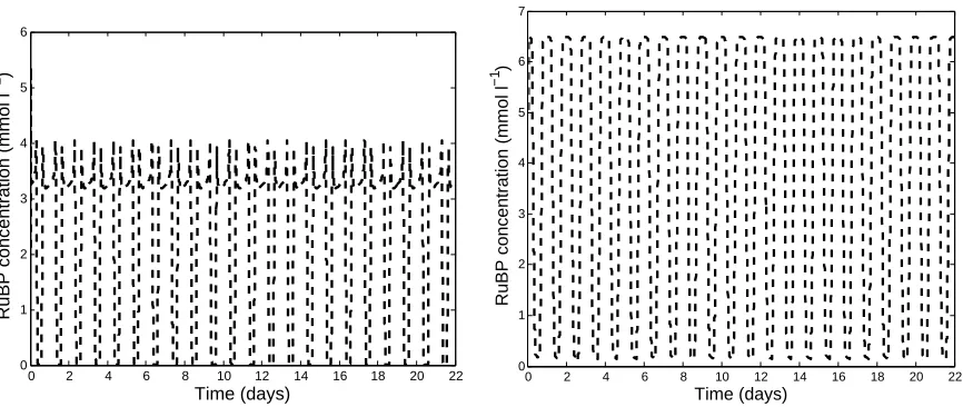 Figure 3.6:PC+ concentration in A. thaliana as predicted by the comprehensive model (left)and compact model(right) when grown under conditions described in [35].