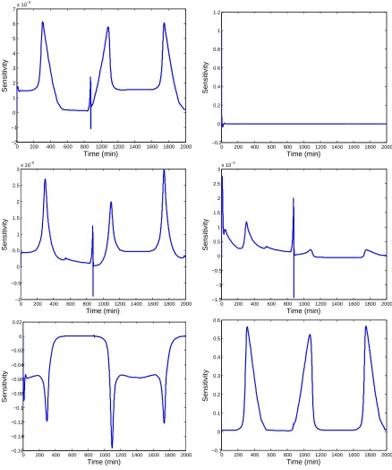 Figure 3.23:Left: Sensitivity of RuBP to the maximum velocity parameters V1, V38,and V52(top to bottom)