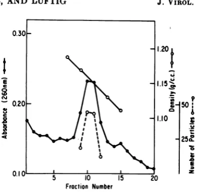 FIG.1.fuged30sentscopedeterminationsviraltionsancy,densityTwenty-drop to Densityprofile of LCV after sucrose gradient equilibrium centrifugation.The 60% sucrose (in STE) gradient was centri- for 25 h at 35,000/rpm in an SW50 rotor