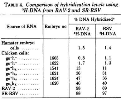 TABLE 4. Comparison of hybridization levels using3H-DNA from RAV-2 and SR-RSV