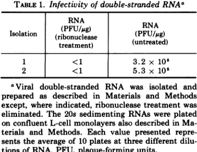 FIG. 1.controland0,of0.15catesandaddedstrandedturelularml)bationadded amino double-stranded Effect of viral double-stranded RNA on cel- protein synthesis