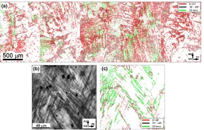 Fig. 3. Microstructure after 30-pct. thickness reduction (true strain of 0.4): (a) low-resolution, composite EBSD grain-boundary map (grain-boundary color code is given in the upper right corner), (b) high-resolution Kikuchi-band-contrast EBSD map taken fr