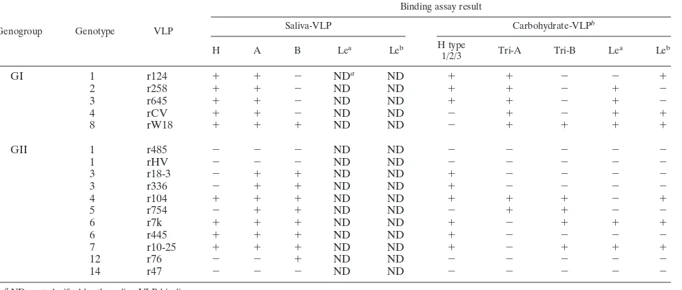 TABLE 4. HBGA recognition predicted by carbohydrate- and saliva-VLP binding assay