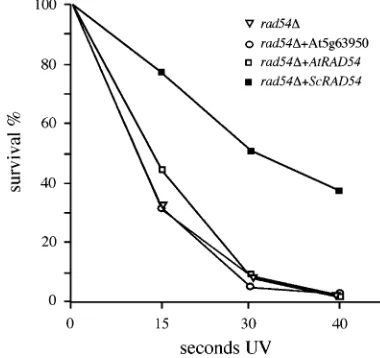 Figure 2 by an RT–PCR assay) were g-irradiated andallowed to germinate (Figure 5A). Seeds of the trans-genic plants were more resistant to g-irradiation thantheir wild-type progenitors, as shown by the increasedfraction of seedlings developing to the true-