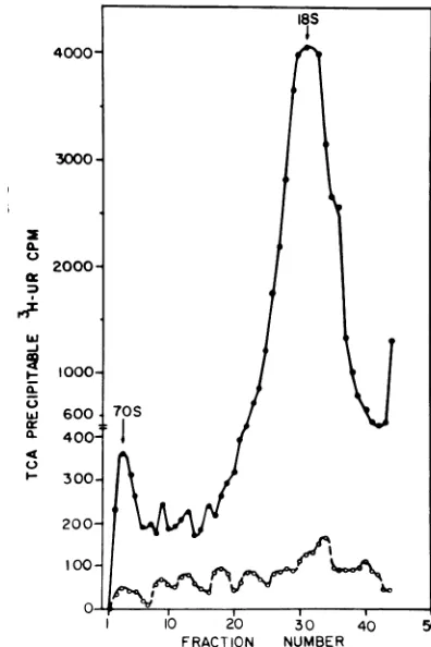 Fig.tionvirus