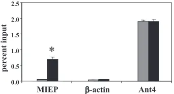 FIG. 6. Analysis of methylation of histone H3 bound to the MIEP in acute and latent infection