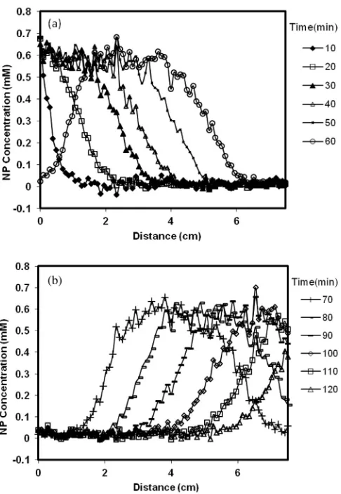 Fig. 4. Concentration proﬁles of Carboxyl NP transport along the ﬂow direction; (a)up to 60 min (b) second half from 70 to 120 min.
