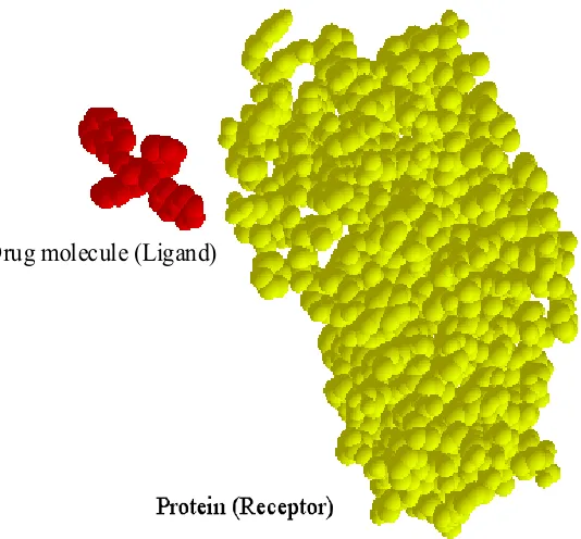 Figure 1.1 Example of receptor and ligand molecules in molecular docking. 