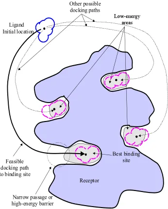 Figure 1.2 Possible docking paths for the ligand during the molecular docking process