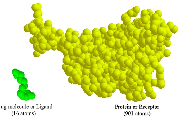 Figure 3.1 Example of molecular receptor and ligand in molecular docking. 