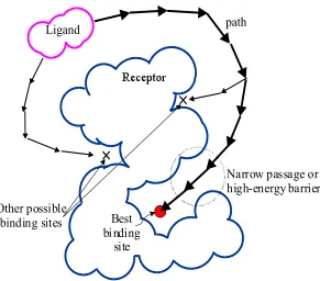Figure 3.2 Ligand’s search for the binding site in the molecular docking process. 