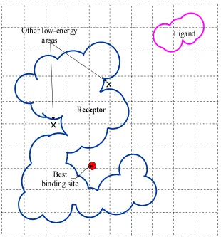 Figure 3.5 Receptor enclosed in 3D grid for interacting energy calculation. 