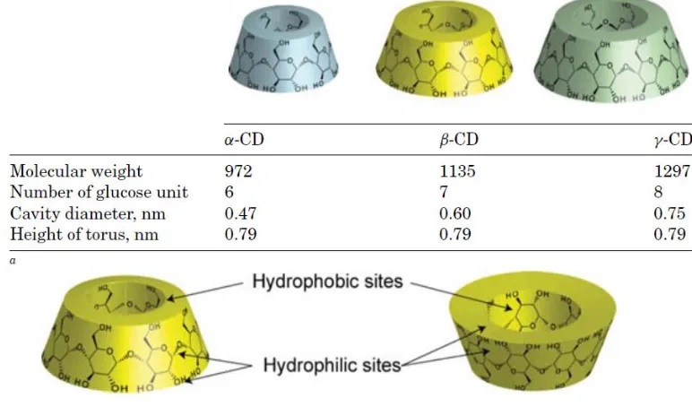 Figure 1.4: Cyclodextrins [12] 
