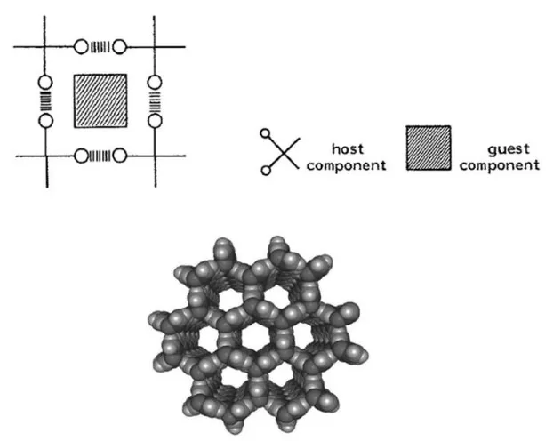 Figure 1.15: Urea Inclusion – Matrix formation via hydrogen bonding [38, 39] 