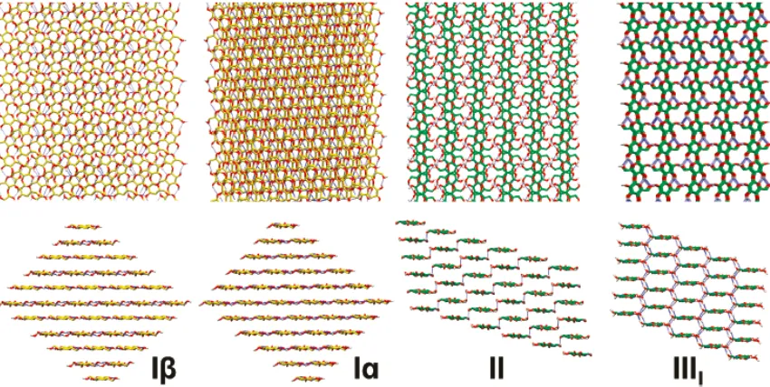 Figure 1.3 Structures of cellulose Iβ, Iα, II, and IIII illustrating differences in chain tilt, packing and hydrogen bonding[8] 