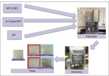 Figure 3.1 Schematic illustration for Process I          