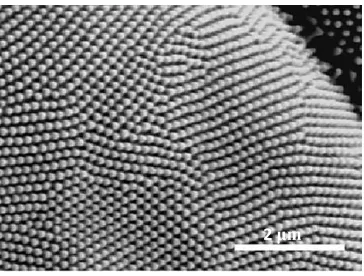 Figure 1-2.  Nano-Feature Array of Peacock Butterfly SEM image [7]. 