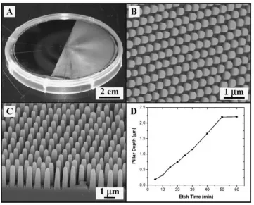 Figure 1-9.  Multifunctional features created by Min [19].  (a) A 4 in. silicon wafer with one 